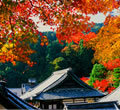 Yokoku-ji Temple 