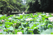 ���J�ω��k�J��