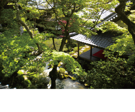 ���J�ω��k�J��